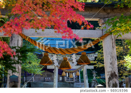 [Shirakawa-go] Autumn leaves in full bloom and Shirakawa Hachiman Shrine 98919396