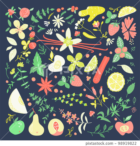Herbal Tea shop hand drawn big set. Design with herbal tea ingredients. Hand drawn color sketch doodle collection. Vector illustration Herbal Tea shop hand drawn big set. Design with herbal tea ingredients. Hand drawn color sketch doodle collection. Vector illustration 98919822