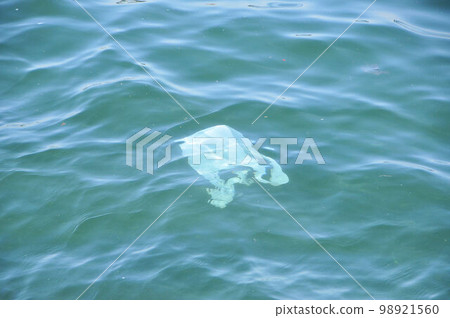 漂浮在海中的塑料袋 98921560