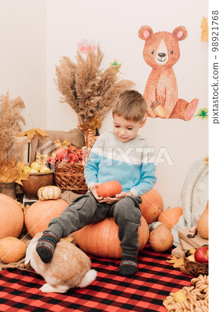 A boy sits among pumpkins with a rabbit. Autumn composition of pumpkins A boy sits among pumpkins with a rabbit. Autumn composition of pumpkins 98921768