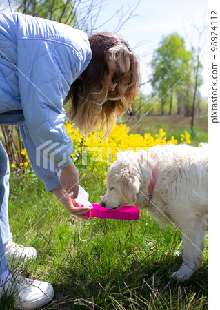 Thirsty dog drinking water from plastic bottle in owner hands, close up photo Thirsty dog drinking water from plastic bottle in owner hands, close up photo 98924112