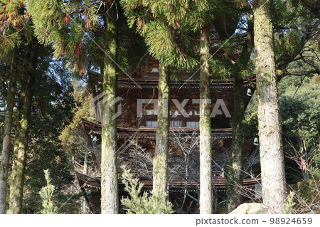 山口琉璃光寺的新年風景 山口琉璃光寺的新年風景 98924659