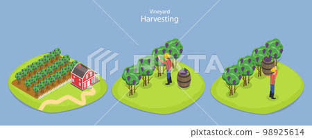 3D Isometric Flat Vector Conceptual Illustration of Vineyard Harvesting 98925614