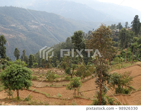 尼泊爾 Sindhupalchok 的日常風景 尼泊爾 Sindhupalchok 的日常風景 98926330