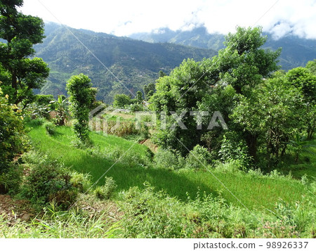 Everyday scenery of Sindhupalchok in Nepal 98926337