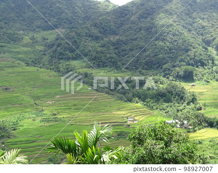 Rice terraces in Kiangan town, Ifugao, Philippines 98927007