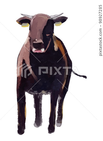 日本黑牛肉水彩矢量圖 98927285