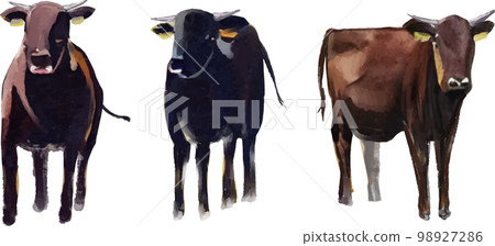 Japanese black beef watercolor vector illustration set Japanese black beef watercolor vector illustration set 98927286