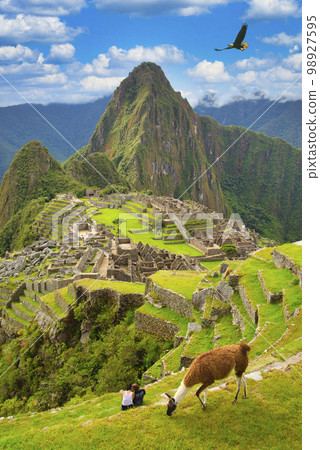 A superb view of the ruins of Machu Picchu, the floating city of the Inca Empire A superb view of the ruins of Machu Picchu, the floating city of the Inca Empire 98927595