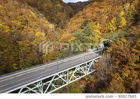 Autumn leaves around Jozankei Dam in Hokkaido (aerial view) Autumn leaves around Jozankei Dam in Hokkaido (aerial view) 98927665