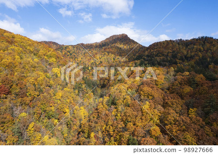 Autumn leaves around Jozankei Dam in Hokkaido (aerial view) Autumn leaves around Jozankei Dam in Hokkaido (aerial view) 98927666