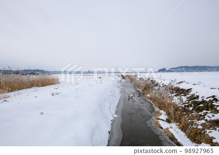 Scenery of hoarfrost covering pampas grass in the midwinter countryside (Kurihara City, Miyagi Prefecture) Scenery of hoarfrost covering pampas grass in the midwinter countryside (Kurihara City, Miyagi Prefecture) 98927965