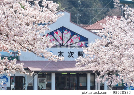 [Shimane Prefecture] Kisuki Station with cherry blossoms in full bloom 98928583