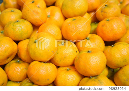Ripe Shikuwasa (Okinawa) Ripe Shikuwasa (Okinawa) 98928934