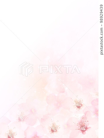Pale spring color background of cherry blossoms 98929439