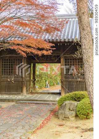 輪王寺深秋 輪王寺深秋 98930459