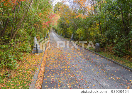 Rinno-ji Temple Late Autumn 98930464