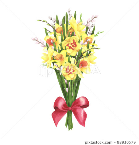 daffodil bouquet with red bow and willow on white. Watercolor hand drawing illustration. Art for decoration and design daffodil bouquet with red bow and willow on white. Watercolor hand drawing illustration. Art for decoration and design 98930579