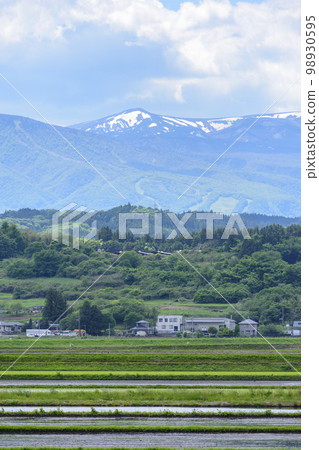 Zao Town, Miyagi Prefecture Zao with paddy fields and remaining snow 98930595