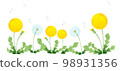Watercolor dandelion transparent material 98931356