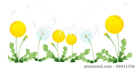 水彩蒲公英透明素材 98931356