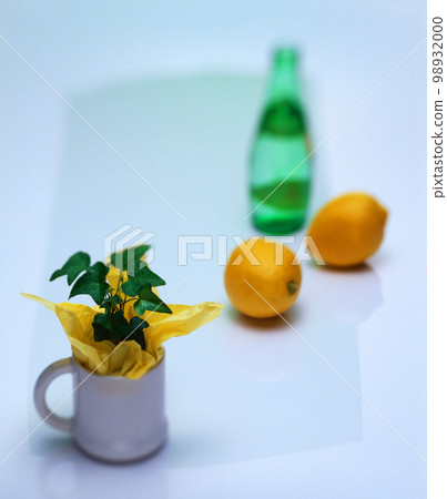 image photo image photo 98932000