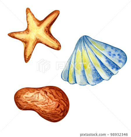 Set of sea shell, stone and starfish watercolor illustration isolated on white background. 98932346
