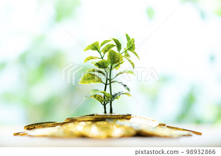 money tree grows big 98932866