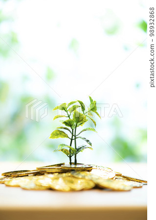 money tree grows big 98932868