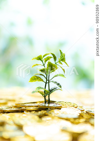 money tree grows big 98932869