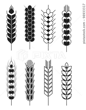 Spikelets wheat and rye barley and millet cereal isolated objects Spikelets wheat and rye barley and millet cereal isolated objects 98933317