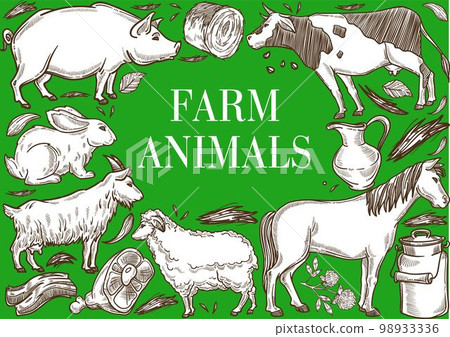 Farm animals frame poster cattle and livestock farming 98933336