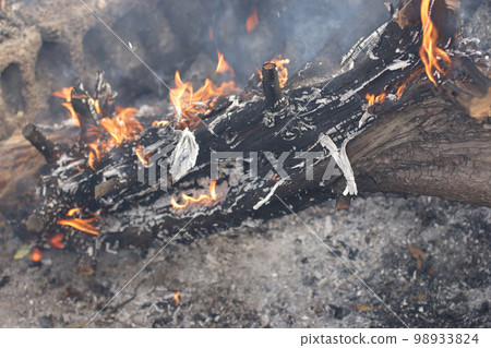 Plant ash making 98933824