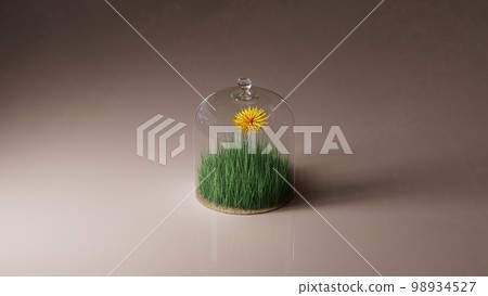 Glass dome with green grass and yellow flower. 3d render, 3d illustration. Glass dome with green grass and yellow flower. 3d render, 3d illustration. 98934527