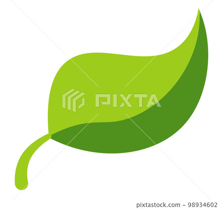 Ecology green leaf isolated corporate identity foliage 98934602