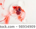 Blood cell smear under microscope for vaccine research, Bacterias 98934909