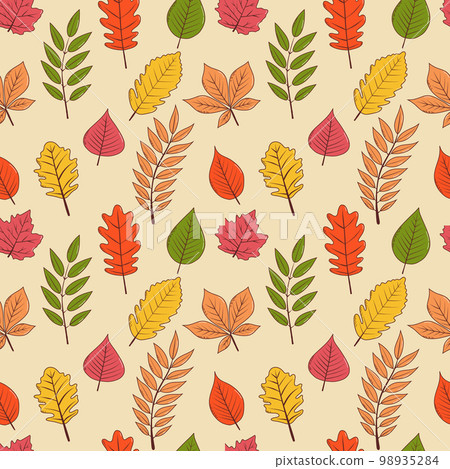 Autumn leaves seamless pattern. Vector illustration in hand drawn style 98935284