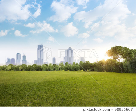 Green grass field with tree forest and cloudy blue sky Green grass field with tree forest and cloudy blue sky 98935667