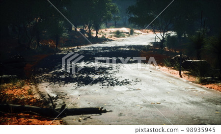 Jungle road in Baluran Park in Indonesia 98935945