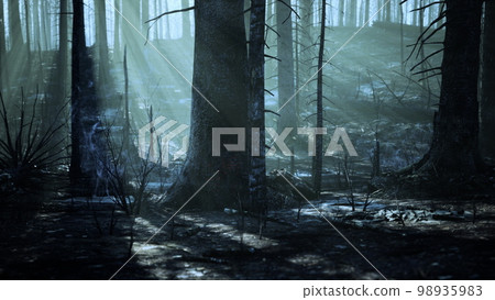 Forest fire and fallen tree is burned to the ground with a lot of smoke 98935983