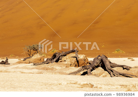 Barren landscape near Deadvlei and sossusvlei Barren landscape near Deadvlei and sossusvlei 98936984