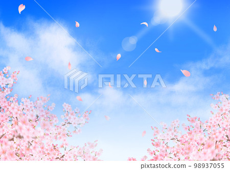 A frame background material illustration of a cloud that shines into the refreshing blue sky of spring with beautiful and gorgeous cherry blossoms in full bloom and petals dancing 98937055