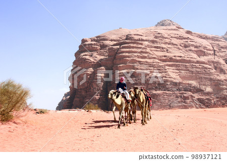 Bedouin with caravan of camels dromedary ride on off-road on sand among the rocks in Wadi Rum desert, Jordan 98937121
