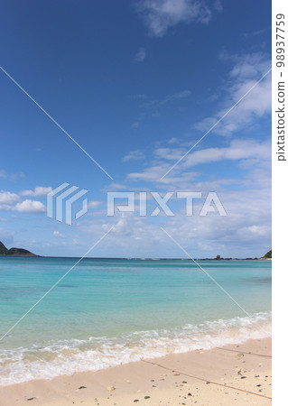 奄美大島 98937759