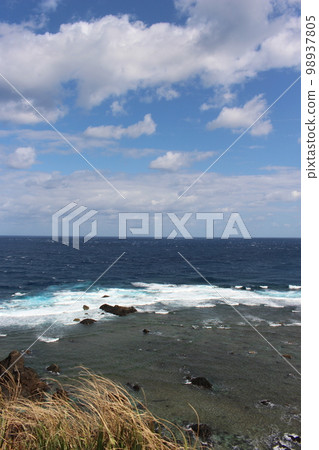 Amami Oshima 98937805