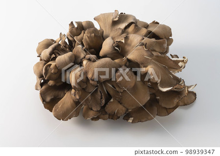 Delicious Maitake mushroom Delicious Maitake mushroom 98939347