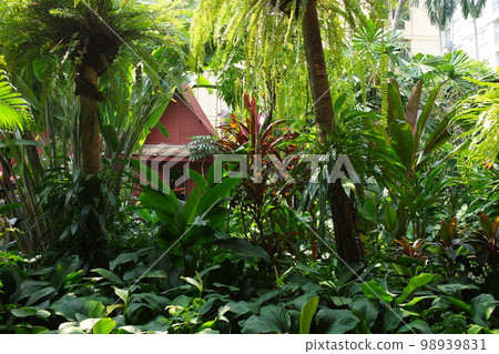 Jim Thompson House in Bangkok, Thailand Jim Thompson House in Bangkok, Thailand 98939831