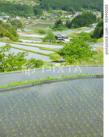 Sakaori Terraced Rice Fields, Ena City, Gifu Prefecture, May Sakaori Terraced Rice Fields, Ena City, Gifu Prefecture, May 98940088