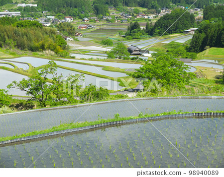 Sakaori Terraced Rice Fields, Ena City, Gifu Prefecture, May Sakaori Terraced Rice Fields, Ena City, Gifu Prefecture, May 98940089
