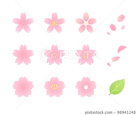 Illustration set of cherry blossoms of various shapes (color) Illustration set of cherry blossoms of various shapes (color) 98941248